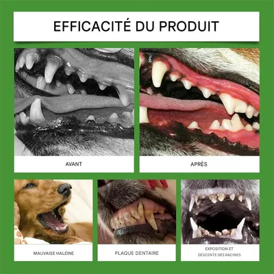 IntiMeg Poudre de soin dentaire pour chien