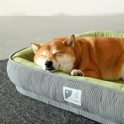 IntiMeg lit orthopédique pour chien