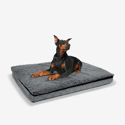 IntiMeg Canapé pour Grands Chiens