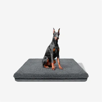 IntiMeg Canapé pour Grands Chiens