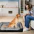 IntiMeg Hundesofa