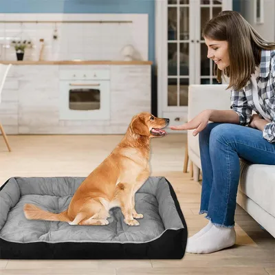 IntiMeg Hundesofa