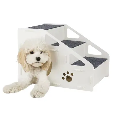 IntiMeg Rampe d'accès pour chiens