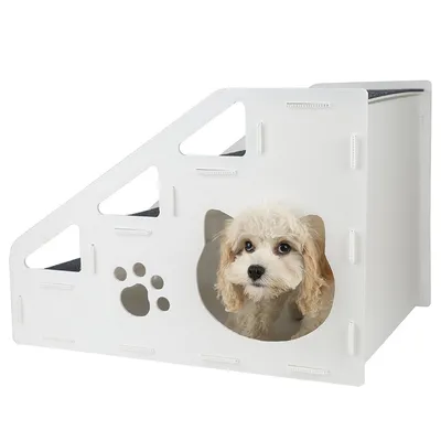 IntiMeg Rampe d'accès pour chiens