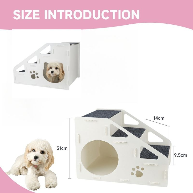 IntiMeg Rampe d'accès pour chiens
