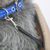 IntiMeg Sac à dos transporteur pour chien