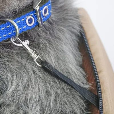 IntiMeg Sac de transport pliable en maille pour chat et chien