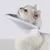 IntiMeg Collerette de protection pour chat