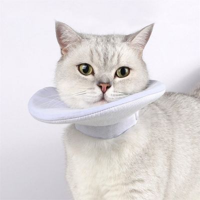 IntiMeg Collerette de protection pour chat