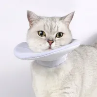 IntiMeg collar protector para gatos