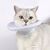 IntiMeg Collerette de protection pour chat