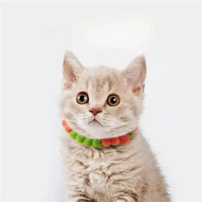 IntiMeg Collier pour chat d'Halloween,Pompons rouges et verts