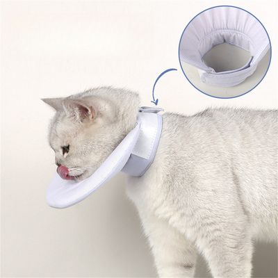 IntiMeg collar protector para gatos
