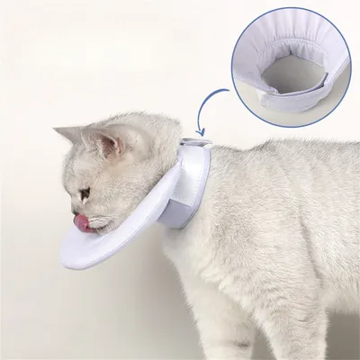 IntiMeg Collerette de protection pour chat