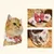 IntiMeg Collier tricoté pour animal de compagnie IntiMeg Collier tricoté pour animal de compagnie