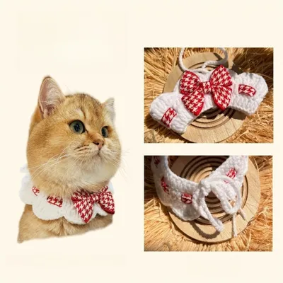 IntiMeg Collier tricoté pour animal de compagnie IntiMeg Collier tricoté pour animal de compagnie