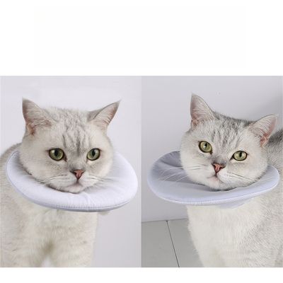 IntiMeg collar protector para gatos