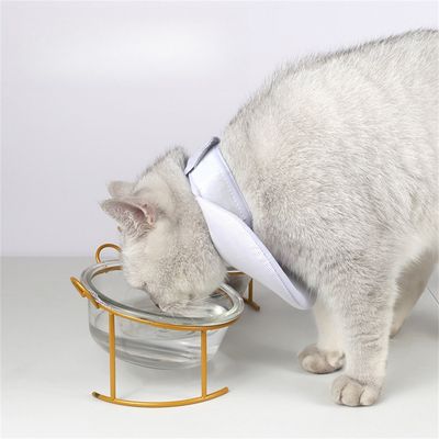 IntiMeg collar protector para gatos