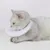IntiMeg Collerette de protection pour chat