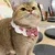 IntiMeg Collier tricoté pour animal de compagnie IntiMeg Collier tricoté pour animal de compagnie