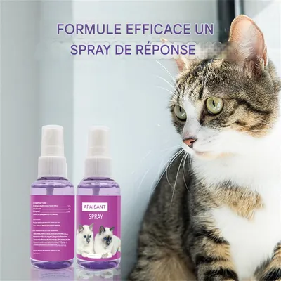 IntiMeg Spray apaisant pour chats