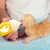 IntiMeg 20ml Biberon anti-étouffement pour chiots et chatons