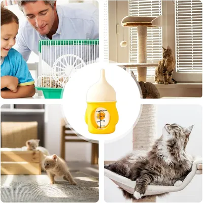 IntiMeg 20ml Biberon anti-étouffement pour chiots et chatons
