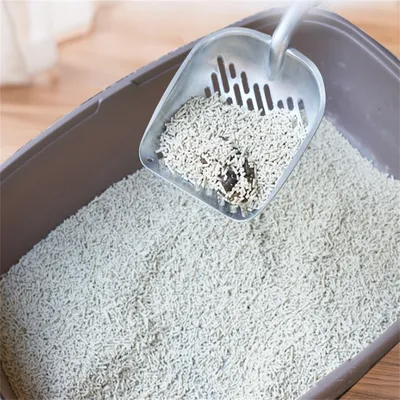 IntiMeg Pelle à sable pour chat