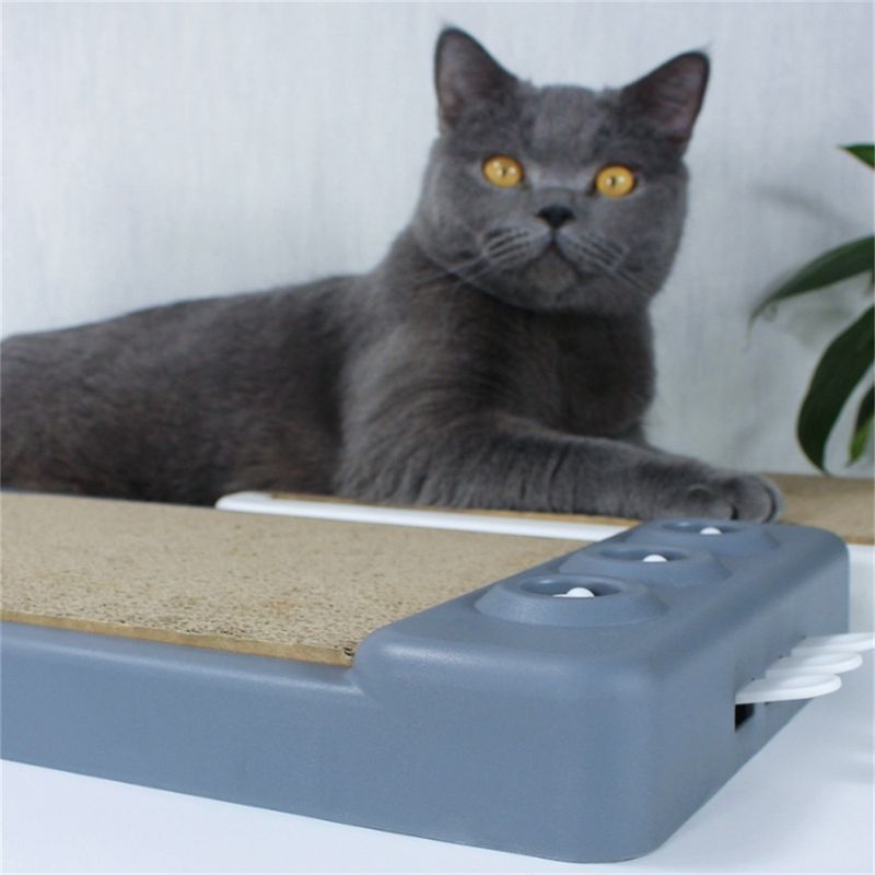 IntiMeg Griffoir pour chat 2 en 1