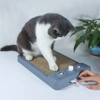 IntiMeg Griffoir pour chat 2 en 1