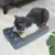 IntiMeg Griffoir pour chat 2 en 1
