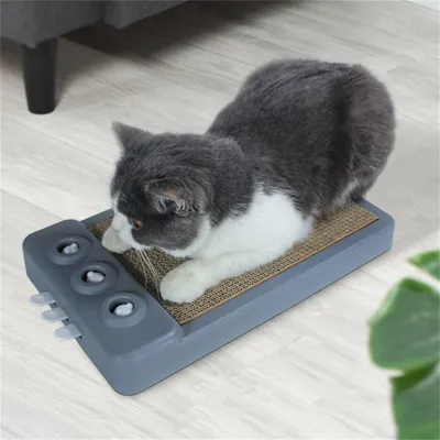 IntiMeg Griffoir pour chat 2 en 1