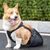 IntiMeg Sac de récupération pour animaux paralysés