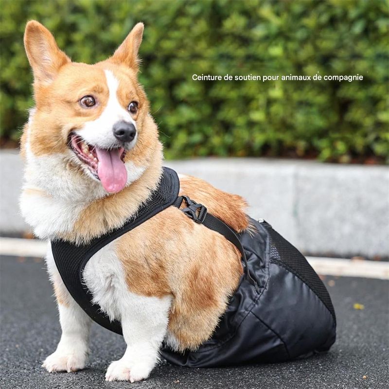 IntiMeg Sac de récupération pour animaux paralysés