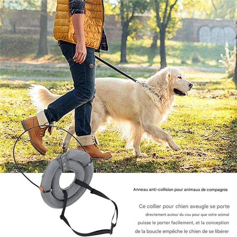 IntiMeg Anneau de collision pour chiens aveugles