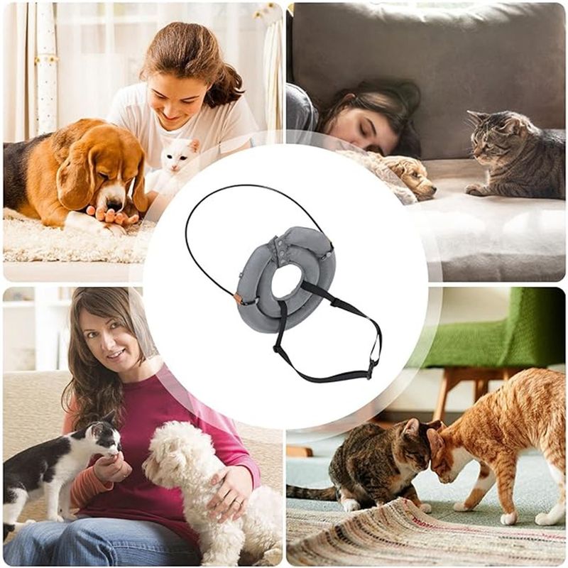 IntiMeg Anneau de collision pour chiens aveugles