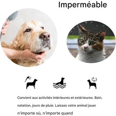 IntiMeg Collier anti - puces et anti - tiques pour chats et chiens