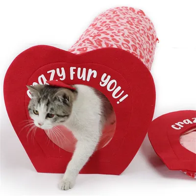 IntiMeg Tunnel de jeu pour chat Red Love