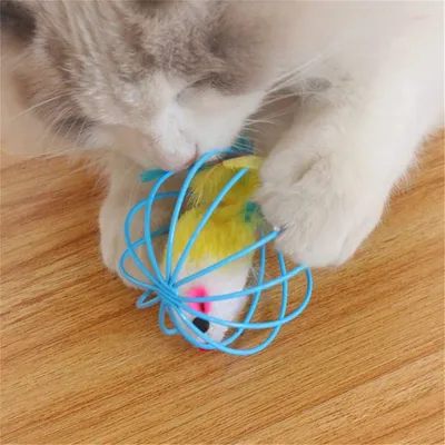 FurryFusion Lot de jouets interactifs pour chat