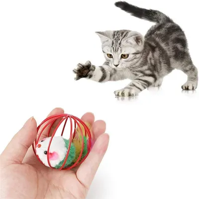 FurryFusion Lot de jouets interactifs pour chat