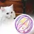 FurryFusion Lot de jouets interactifs pour chat