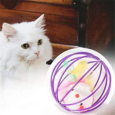 FurryFusion Lot de jouets interactifs pour chat