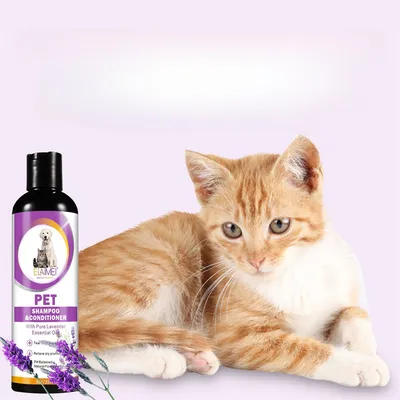 FurryFusion Shampooing pour chiens et chats