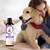 FurryFusion Shampooing pour chiens et chats