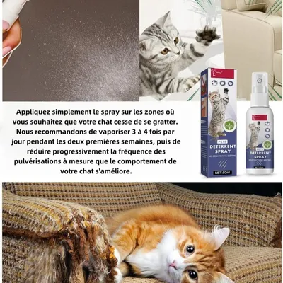 FurryFusion Spray anti - griffure pour chat