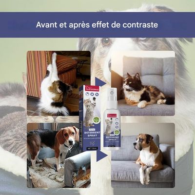 FurryFusion Kratzschutzspray für Katzen