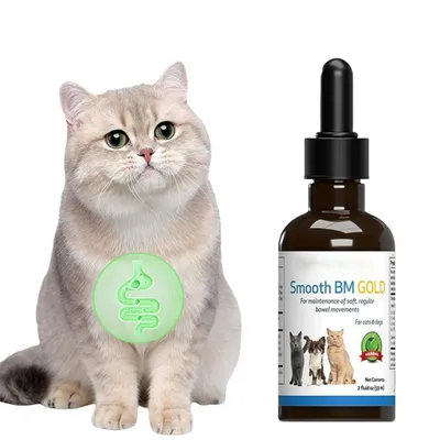 FurryFusion Constipation Reltf pour Chats 59 ml