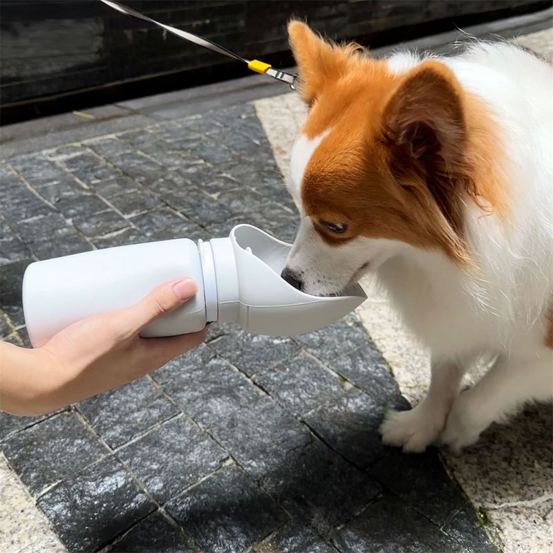FurryFusion - Bouteille d'eau portable de 550 ml Silicone
