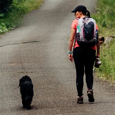 FurryFusion - Bouteille d'eau portable de 550 ml