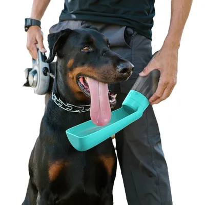 FurryFusion - Bouteille d'eau portable de 550 ml